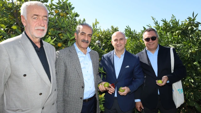 Satsuma mandalinasında ihracat sezonu başladı — Fotoğraf 6
