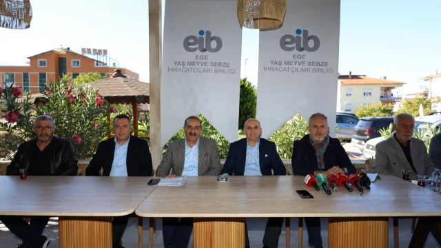 Satsuma mandalinasında ihracat sezonu başladı — Fotoğraf 11