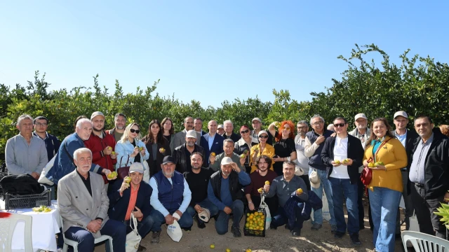 Satsuma mandalinasında ihracat sezonu başladı — Fotoğraf 13