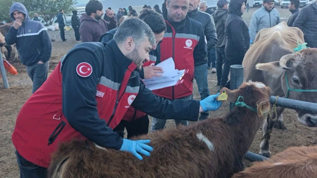 Şebinkarahisar Hayvan Pazarında Kontroller Sıkılaştırıldı — Fotoğraf 5