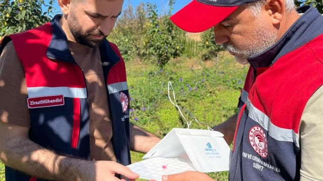 Siirt’te Akdeniz meyve sineğine karşı takip sürüyor — Fotoğraf 1