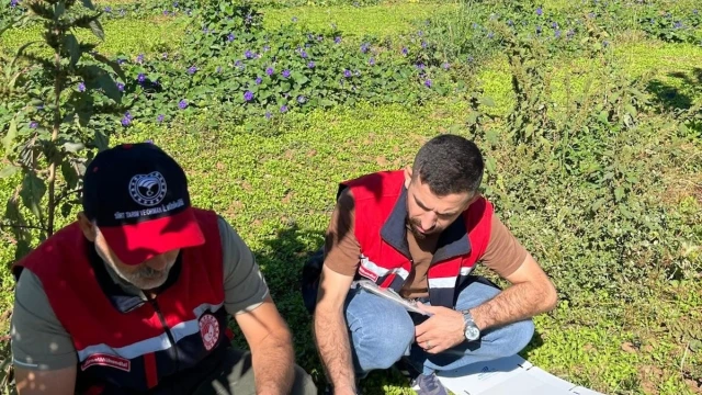 Siirt’te Akdeniz meyve sineğine karşı takip sürüyor — Fotoğraf 3