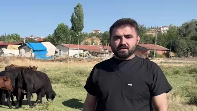 Terican, Kırsalda Bereket’le İşletmesini Büyütüyor — Fotoğraf 1