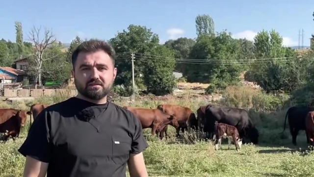 Terican, Kırsalda Bereket’le İşletmesini Büyütüyor — Fotoğraf 3