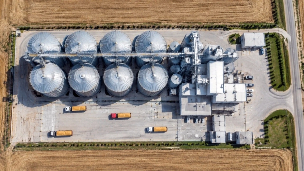 TMO kasım ayında 5,5 milyon ton hububat satacak