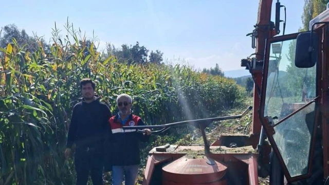 Tokat’ta silajlık mısır demonstrasyonunda 8 ton verim alındı — Fotoğraf 7