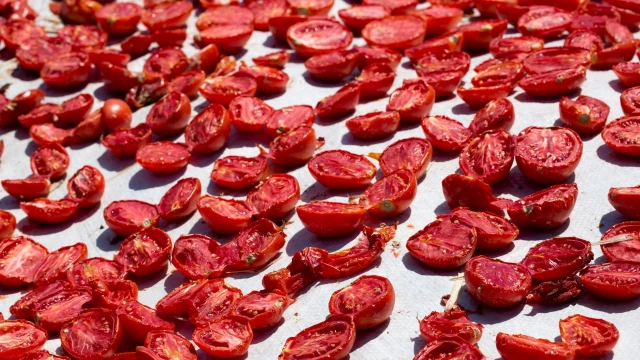 Türkiye’nin tarım ihracatı 9 ayda 27,1 milyar dolara ulaştı