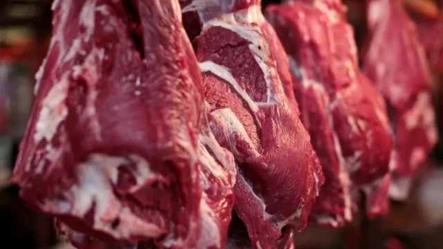 UKON: Dana ve Kuzu Kesim Fiyatları Aylık Geriledi