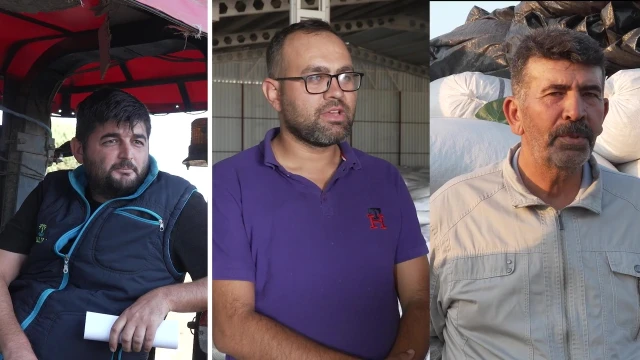 Üreticiler: TMO Üzüm Fiyatlarının Yükselmesini Sağladı — Fotoğraf 4