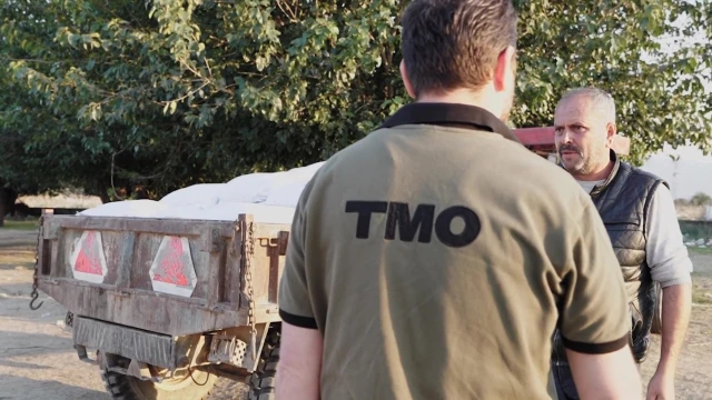 Üreticiler: TMO Üzüm Fiyatlarının Yükselmesini Sağladı — Fotoğraf 10