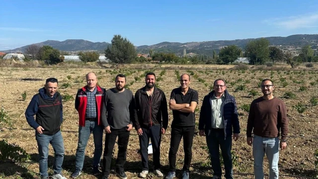 Uşak’ta yedi çeşit asma anacı kontrol edildi — Fotoğraf 2