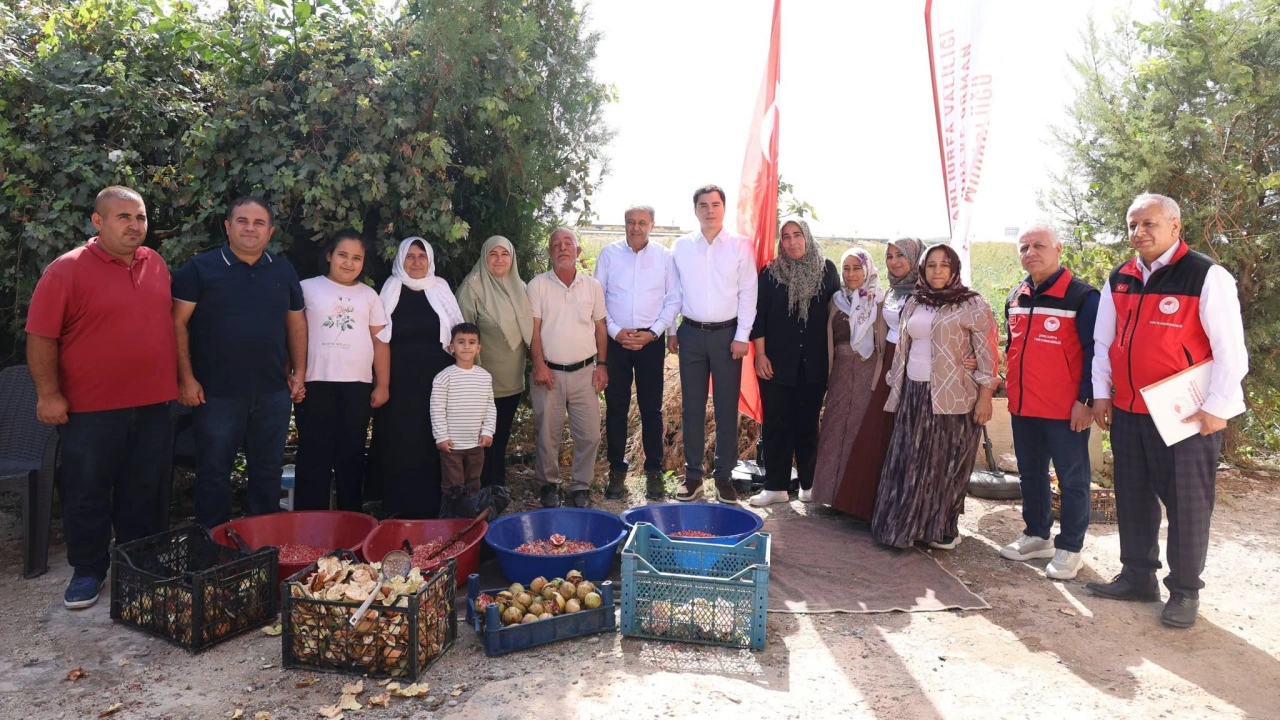 Vali Şıldak: “Suruç narı, ilçemizin sembollerinden”