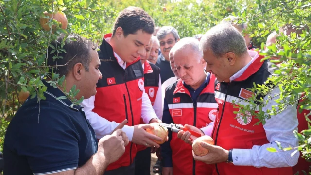 Vali Şıldak: “Suruç narı, ilçemizin sembollerinden” — Fotoğraf 3