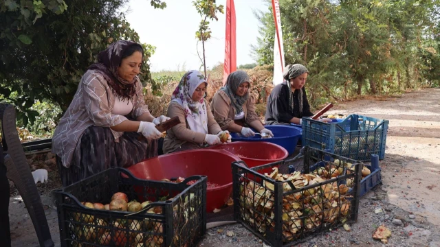 Vali Şıldak: “Suruç narı, ilçemizin sembollerinden” — Fotoğraf 4