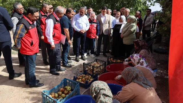 Vali Şıldak: “Suruç narı, ilçemizin sembollerinden” — Fotoğraf 6