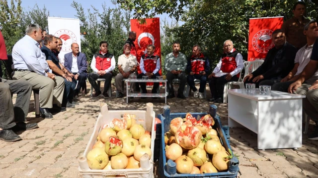 Vali Şıldak: “Suruç narı, ilçemizin sembollerinden” — Fotoğraf 14