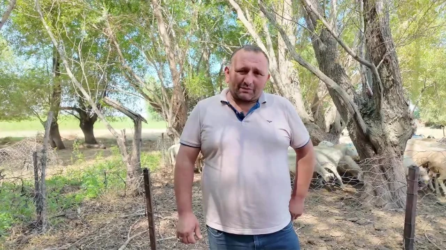 Ziraat Mühendisi Köyüne Döndü, Koyunculuğa Yöneldi