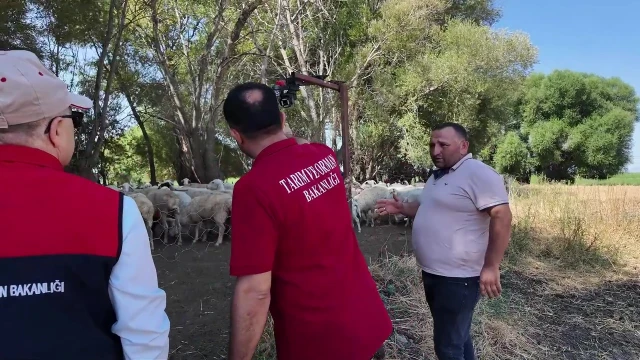Ziraat Mühendisi Köyüne Döndü, Koyunculuğa Yöneldi — Fotoğraf 2