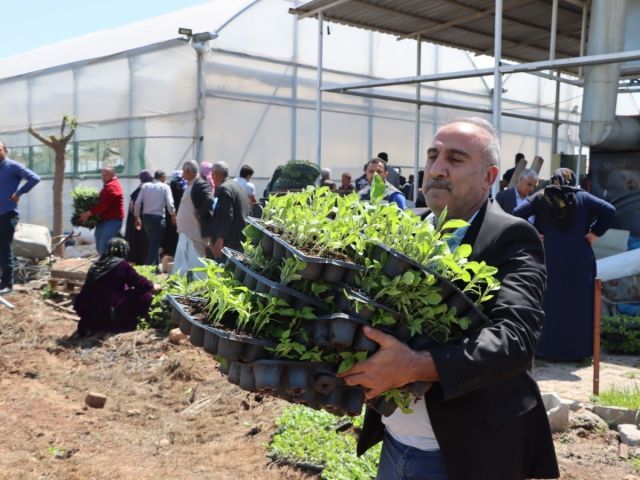 Şanlıurfa Büyükşehir 1 Milyon Fideyi Ücretsiz Dağıttı