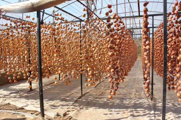 İnternetten öğrendikleri yöntemi uyguluyorlar! Kilosu 40 lira...