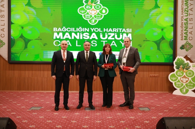 Manisa'da Üzüm Çalıştayı: Bağcılık İçin Yeni Stratejiler Geliştirildi