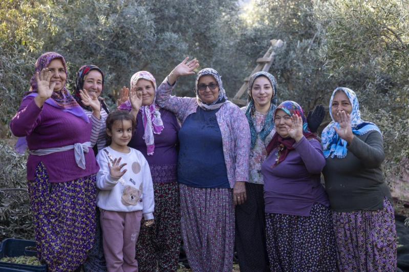 Mersin Büyükşehir’in zeytin fidanları üreticilere kazanç sağladı