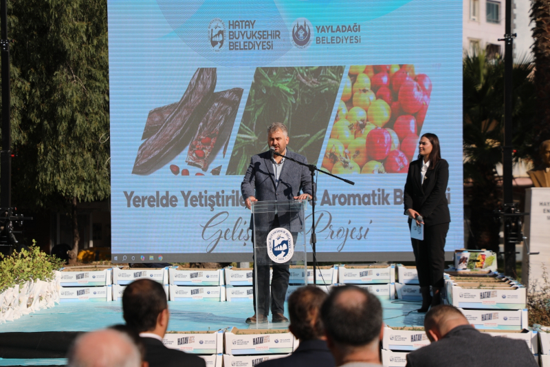 Hatay Büyükşehir, Yayladağı’nda aromatik bitki fideleri dağıttı