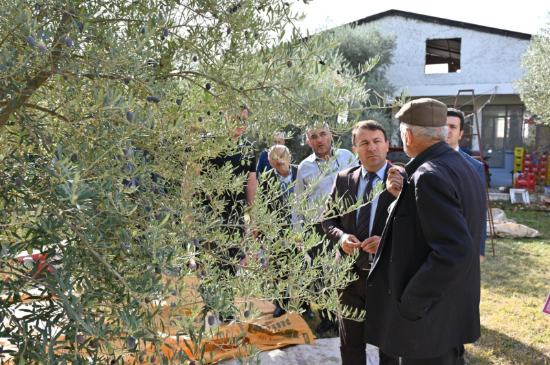Denizli Tarım İl Müdürlüğü Zeytin Tarla Okulunu Tavas’ta Tamamladı