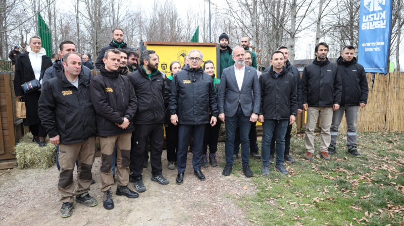 Kocaeli Büyükşehir 8 kızıl geyiği Kuzuyayla’da doğaya saldı