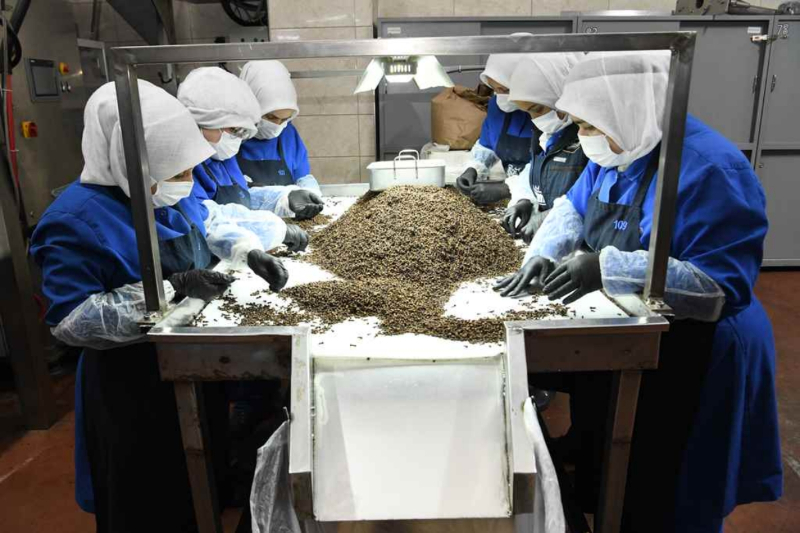 İspanya Tarım Bakanı Ankara’da gıda sanayisini inceledi