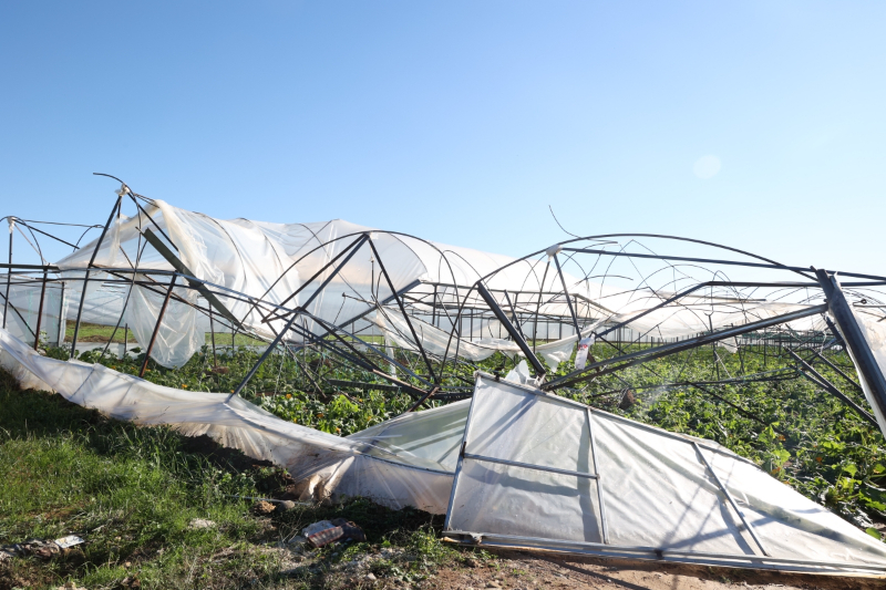 Antalya Büyükşehir, Manavgat’taki hortum sonrası seralarda hasarı inceledi