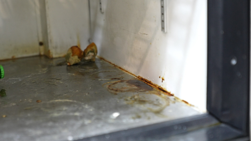 Yalova Belediyesi uygunsuz ürün satan marketi denetledi