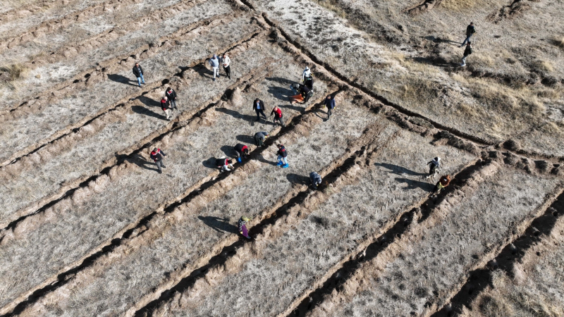 Kayseri İl Tarım ve Orman Müdürlüğü Develi’de Tuz Çalısı Dikti