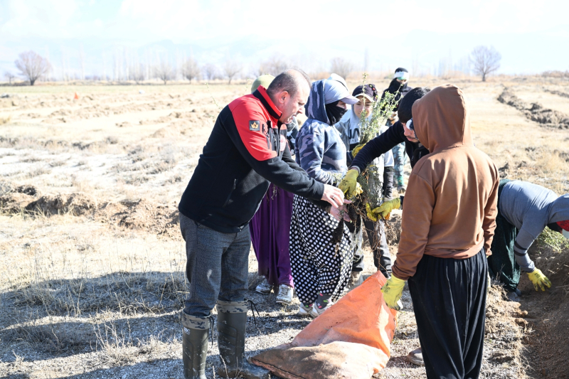 Kayseri İl Tarım ve Orman Müdürlüğü Develi’de Tuz Çalısı Dikti