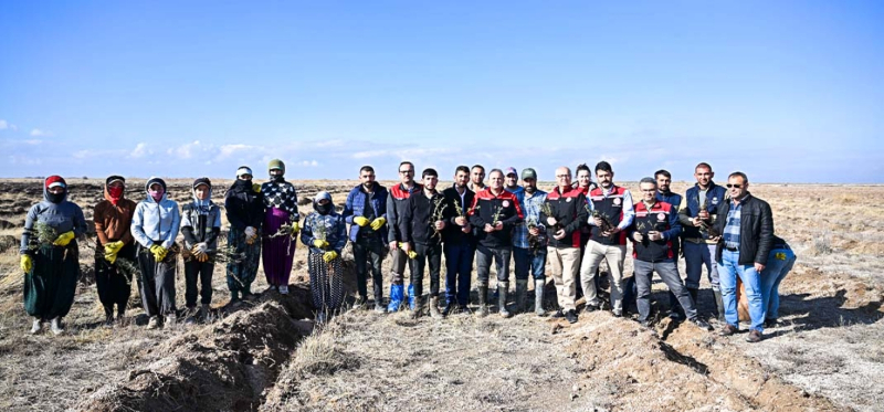 Kayseri İl Tarım ve Orman Müdürlüğü Develi’de Tuz Çalısı Dikti