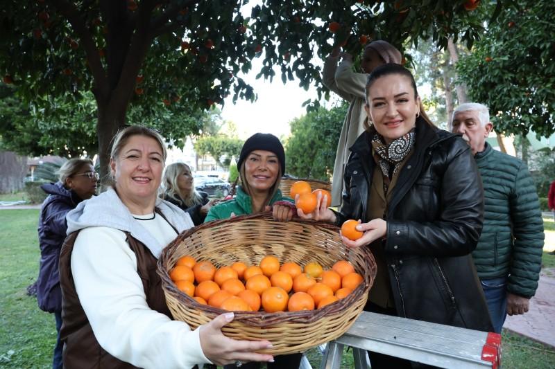 Antalya Büyükşehir Destekledi, Turunç Reçeli Markalaştı