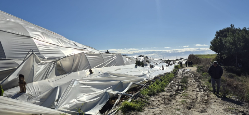 Antalya Büyükşehir Belediyesi Manavgat’ta hortum hasarını inceledi