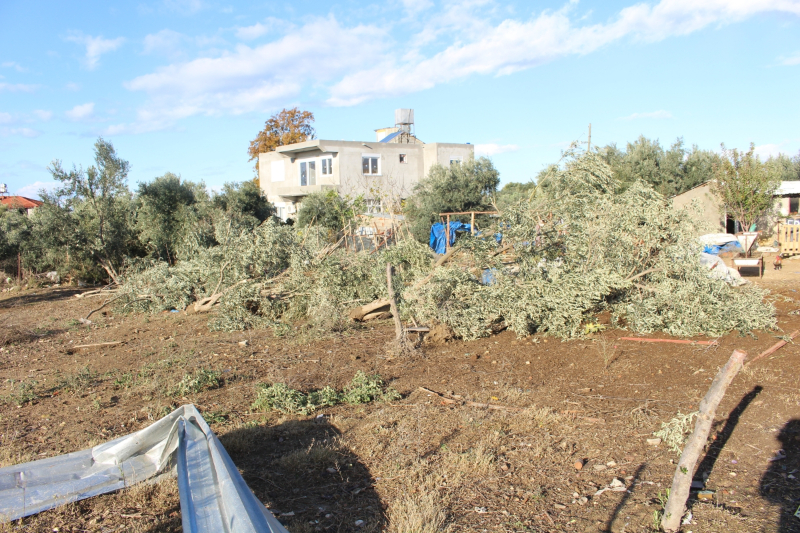 Antalya Büyükşehir Belediyesi Manavgat’ta hortum hasarını inceledi