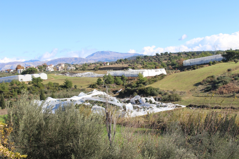 Antalya Büyükşehir Belediyesi Manavgat’ta hortum hasarını inceledi