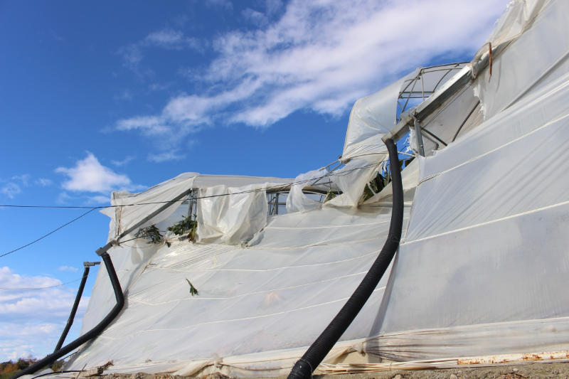 Antalya Büyükşehir Belediyesi Manavgat’ta hortum hasarını inceledi