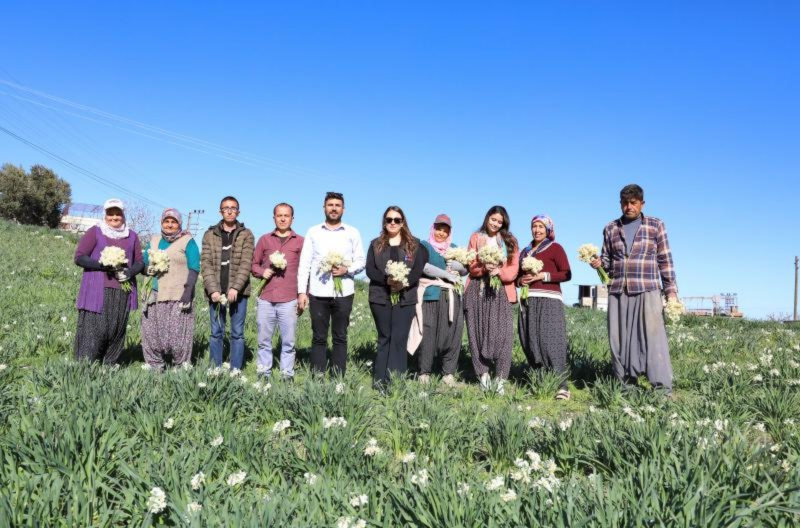 Mersin Büyükşehirden Tarsus’ta Nergis Soğanı Dağıtımını Destekliyor