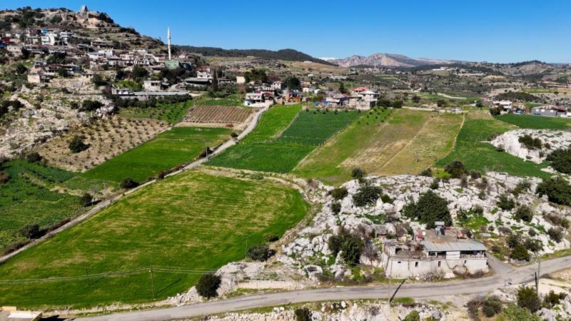 Mersin Büyükşehirden Tarsus’ta Nergis Soğanı Dağıtımını Destekliyor