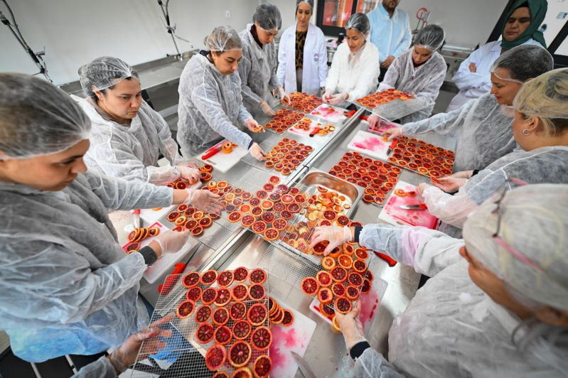 Mersin BŞB Kadınlara Kan Portakalı Kurutma Atölyesi Başlattı