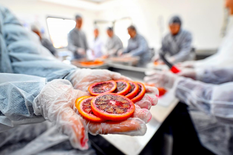 Mersin BŞB Kadınlara Kan Portakalı Kurutma Atölyesi Başlattı