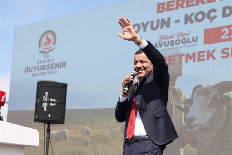 Denizli Büyükşehir 572 üreticiye koyun-koç desteği verdi