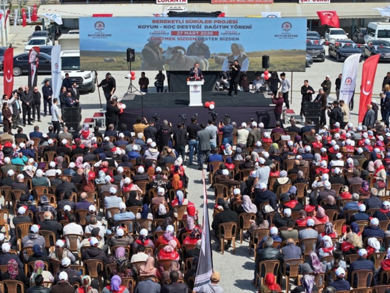 Denizli Büyükşehir 572 üreticiye koyun-koç desteği verdi