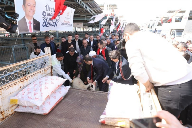 Denizli Büyükşehir 572 üreticiye koyun-koç desteği verdi