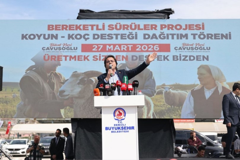 Denizli Büyükşehir 572 üreticiye koyun-koç desteği verdi