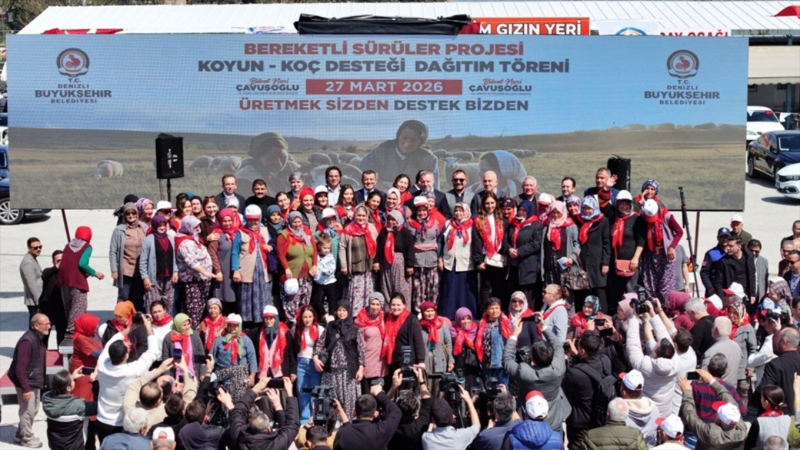 Denizli Büyükşehir 572 üreticiye koyun-koç desteği verdi