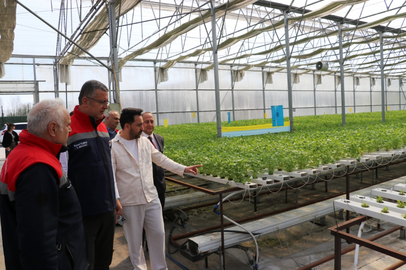 Samsun’da Su Kültürü ile Maydanoz Veriminde Rekor Artış